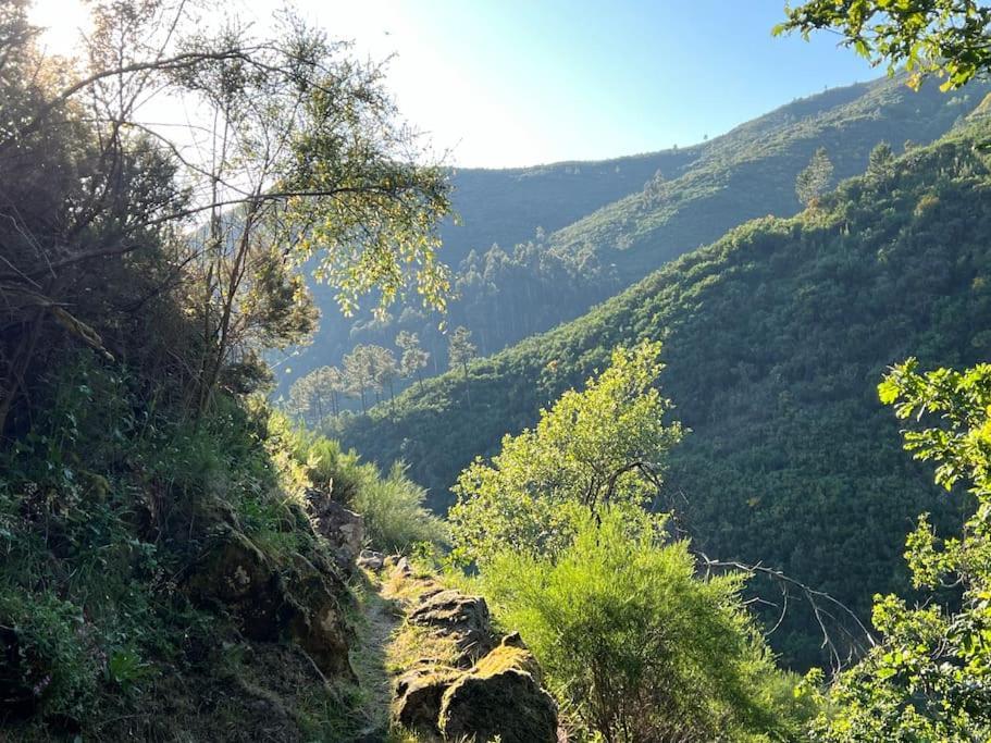 Casa Do Sol - Natureza & Lazer - Serra Da Freita Αρούκα Εξωτερικό φωτογραφία