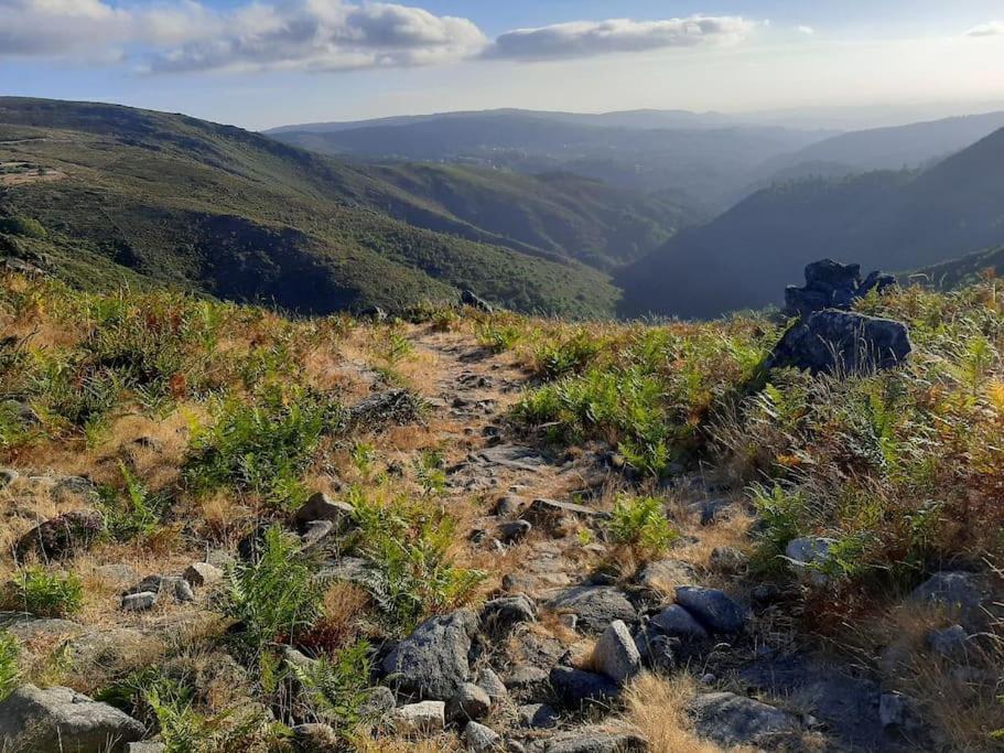 Casa Do Sol - Natureza & Lazer - Serra Da Freita Αρούκα Εξωτερικό φωτογραφία