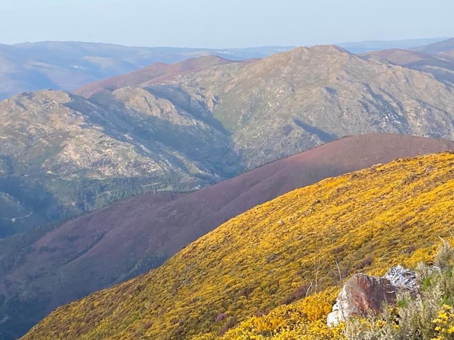 Casa Do Sol - Natureza & Lazer - Serra Da Freita Αρούκα Εξωτερικό φωτογραφία