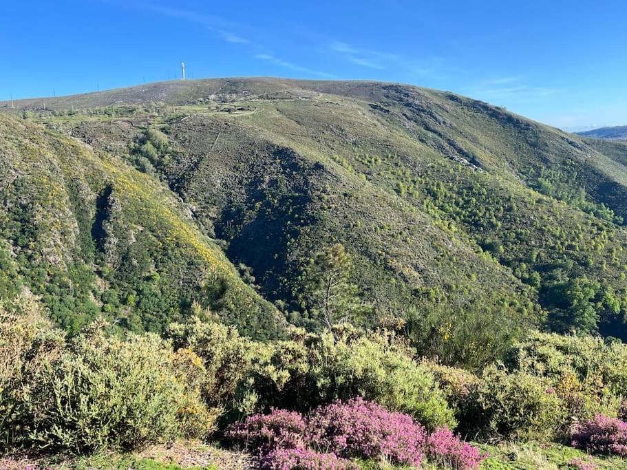 Casa Do Sol - Natureza & Lazer - Serra Da Freita Αρούκα Εξωτερικό φωτογραφία